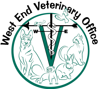 animal hospital logo